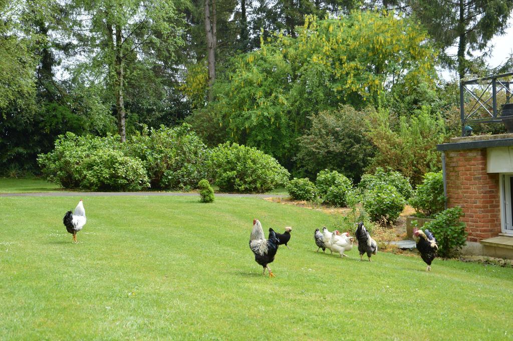 La Grange Des Marettes Bed and Breakfast Cléres Exteriör bild